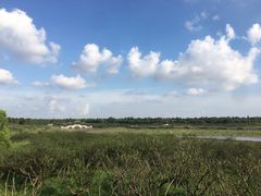 -上海海湾国家森林公园