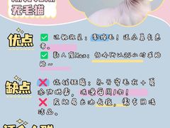 -翊宠yipet猫狗购宠庄园