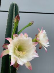 -无界瑜伽普拉提