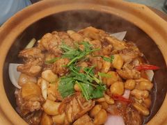 金不换三杯浓香滑鸡煲-太兴餐厅(东方广场分店)