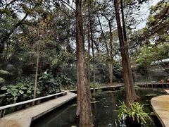 -广州兰圃