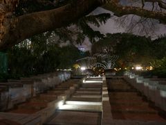 -九龙公园