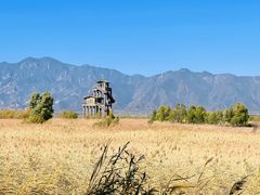 -野鸭湖国家湿地公园