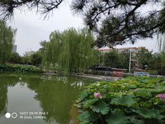 -黄村公园