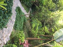 君澜热带雨林温泉酒店-七仙岭君澜度假酒店