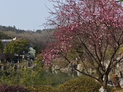 -善卷洞风景区