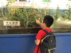 -上海昆虫博物馆