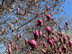 -齐白石旧居纪念馆