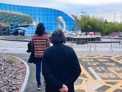 -上海市第一人民医院(松江南部)