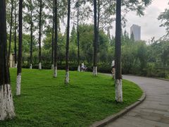 -成都南湖公园