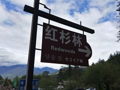 -硗碛藏寨·神木垒景区