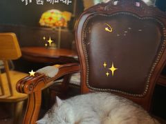 -不舍昼夜咖啡馆