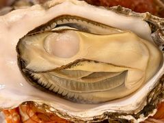 蒸汽海鲜-桔子海鲜烧烤大排档(台东店)