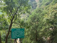 -北京鹫峰国家森林公园