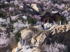 -北京凤凰岭