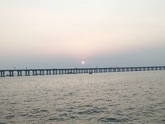 -宝安西湾红树林湿地公园