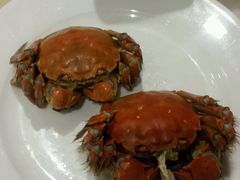 -王宝和酒家(黄浦店)