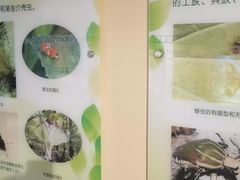 -上海昆虫博物馆