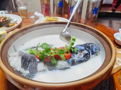 -全乐鱼馆·淳牌有机鱼直营店