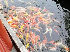 景观位-香山家宴