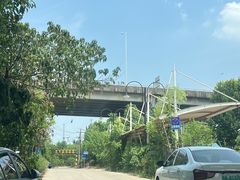 -东湖落雁景区