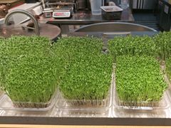 -好彩猪肚鸡(正弘城店)