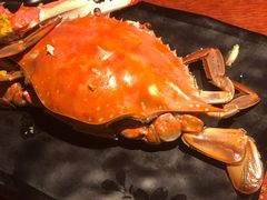 -大吉鲜鱼料理自慢(维也纳大厦店)