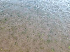 -青岛第三海水浴场