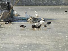 -团结湖公园