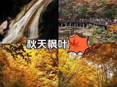 -光雾山旅游景区