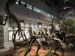 -自贡恐龙博物馆