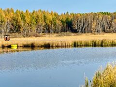 -塞罕坝国家级自然保护区