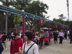 -金山植物公园