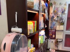 -宠爱国际动物医院·消化内科·心肾内科·ISFM猫友好(望京店)