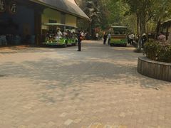 -西双版纳原始森林公园