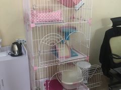 -青春加萌照相馆