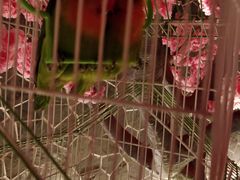 -蓝鲸湾汤泉(包河店)