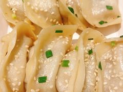 鲜肉锅贴-小姜锅贴(凤凰街店)