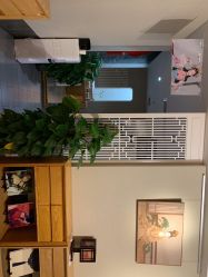 -盘子女人坊古装写真摄影(厦门总店)