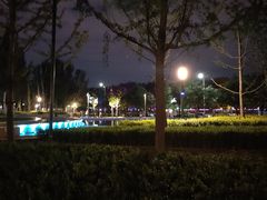 -朝阳公园游乐园