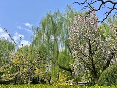 -团结湖公园