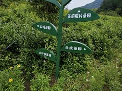 -黄山翡翠谷景区