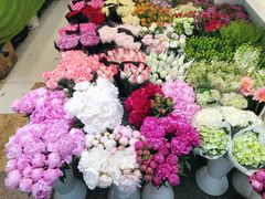 -双季花艺园艺市场(浦东店)
