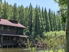 -黄海国家森林公园