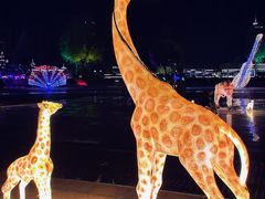 -霸王河欢乐世界