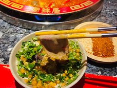 -蜀辣居鲜货老火锅(双流万达店)