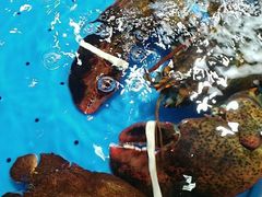 -大东海海鲜酒楼(渔人码头总店)