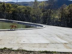 -横道河子东北虎林园
