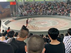 -石家庄市动物园