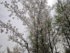 -周渝食惦酸菜鱼(青浦店)